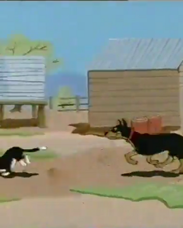 Pat The Cat And Bob The Dog Abc For Kids Wiki Fandom