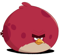 Terence ABT