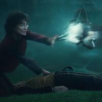 Summoning Charm About The Harry Potter Wiki Fandom