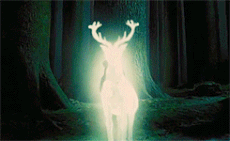 Tumblr mm80qqESfG1rmesz7o8 250