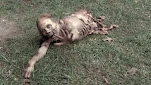 Bicycle girl