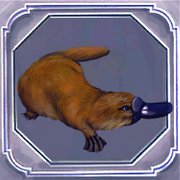 Platypus