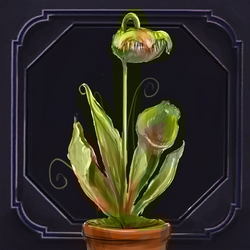 Plant