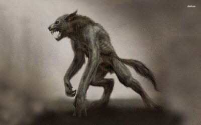Wolf1