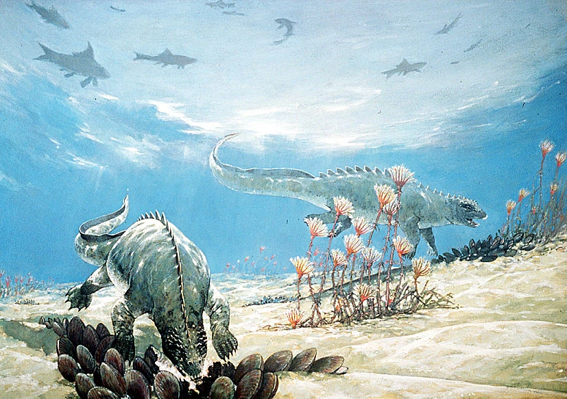 Placodontos Wiki ACAM FANDOM powered by Wikia