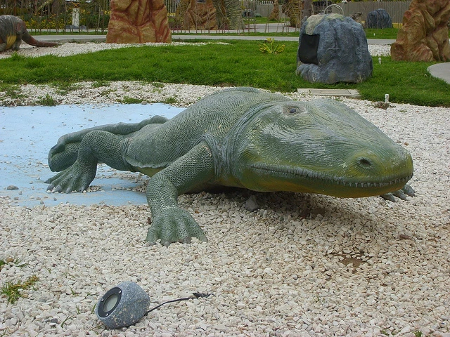 paracyclotosaurus-wiki-acam-fandom-powered-by-wikia