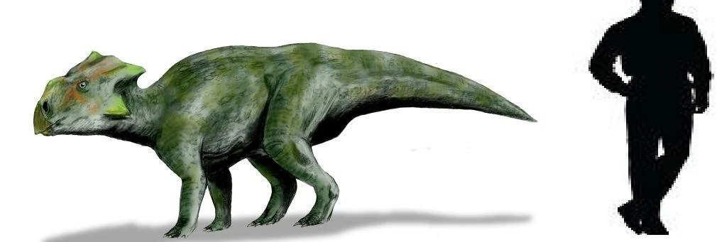 bagaceratops-wiki-acam-fandom-powered-by-wikia