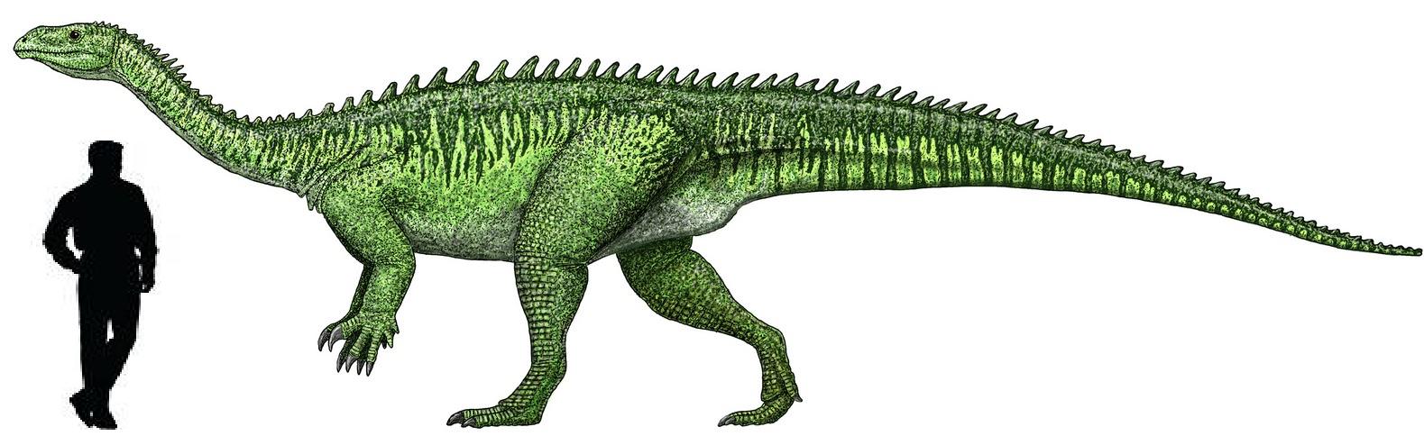 Categoría:Dinosaurios del Triásico | Wiki ACAM | FANDOM powered by Wikia