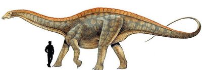 Datousaurus