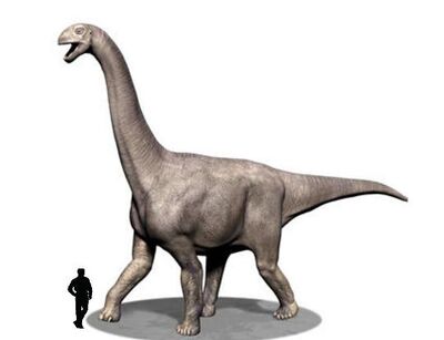 Turiasaurus