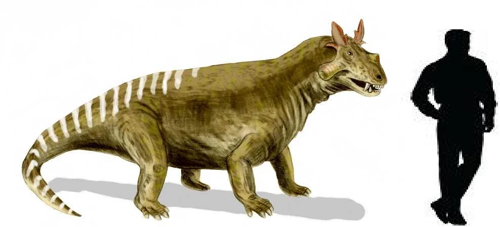 estemmenosuchus-wiki-acam-fandom-powered-by-wikia