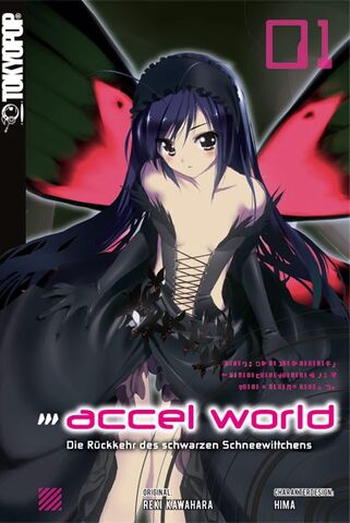 Datei:Accel World Novel 01.jpg