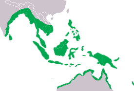 275px-Crocodylus porosus Distribution