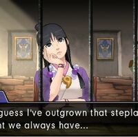 Ladder Vs Stepladder Ace Attorney Wiki Fandom