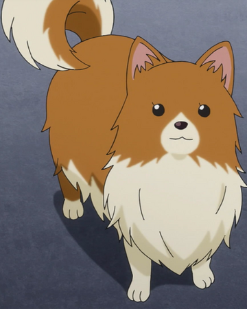 Missile Pomeranian Ace Attorney Wiki Fandom