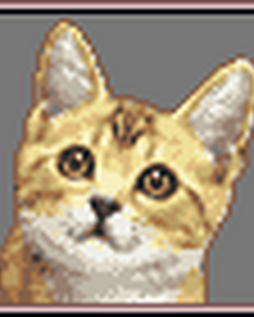Shoe Ace Attorney Wiki Fandom
