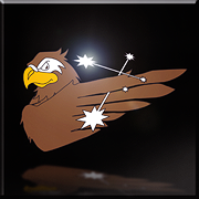 Falco sq emblem small