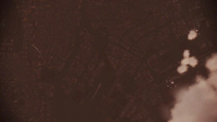 Glitch | Acepedia | Fandom