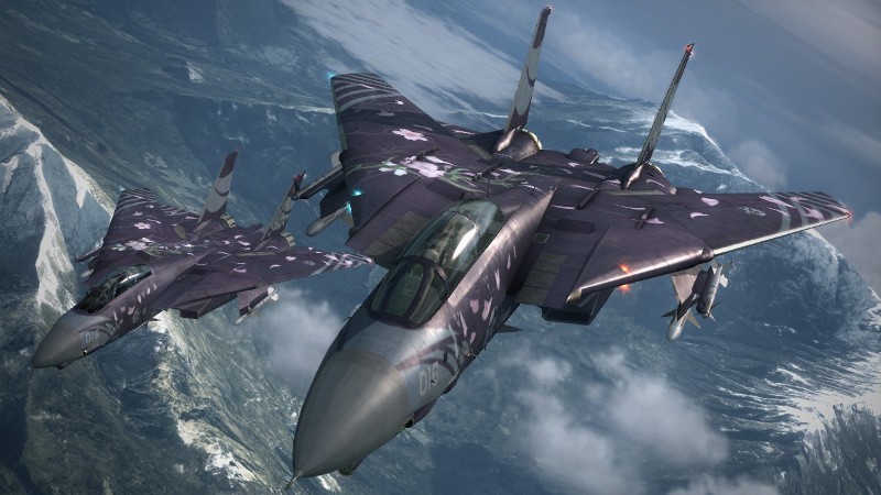 Combats f. F-14 Ace Combat. F-14d Ace Combat. F-14 Tomcat Ace Combat. Ace Combat x Ah-64.