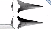 Arkbird - 2
