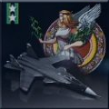 Su-47 -Virgo- Icon