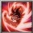 GokuA