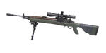 Dmr