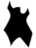 Warlock Shape