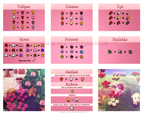 animal crossing new leaf hybrid flowers animal crossing new leaf hybrid flowers