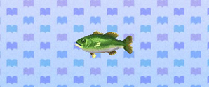 Black Bass | Animal Crossing: New Leaf Wiki | FANDOM powered by Wikia