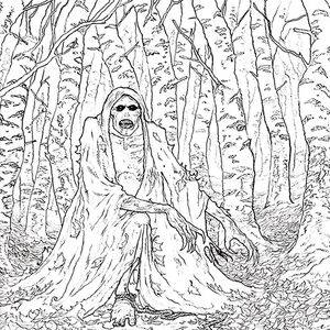 A Court Of Thorns And Roses Coloring Book A Court Of Thorns