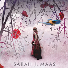 A Court Of Thorns And Roses A Court Of Thorns And Roses Wiki Fandom