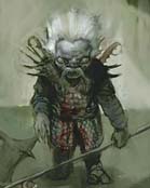 Derro - Brom