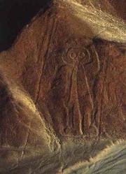 Nazca.human