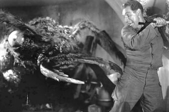 5 Creepy Bug Movies for Halloween