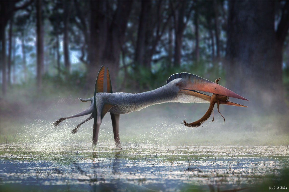 hatzegopteryx dinosaur