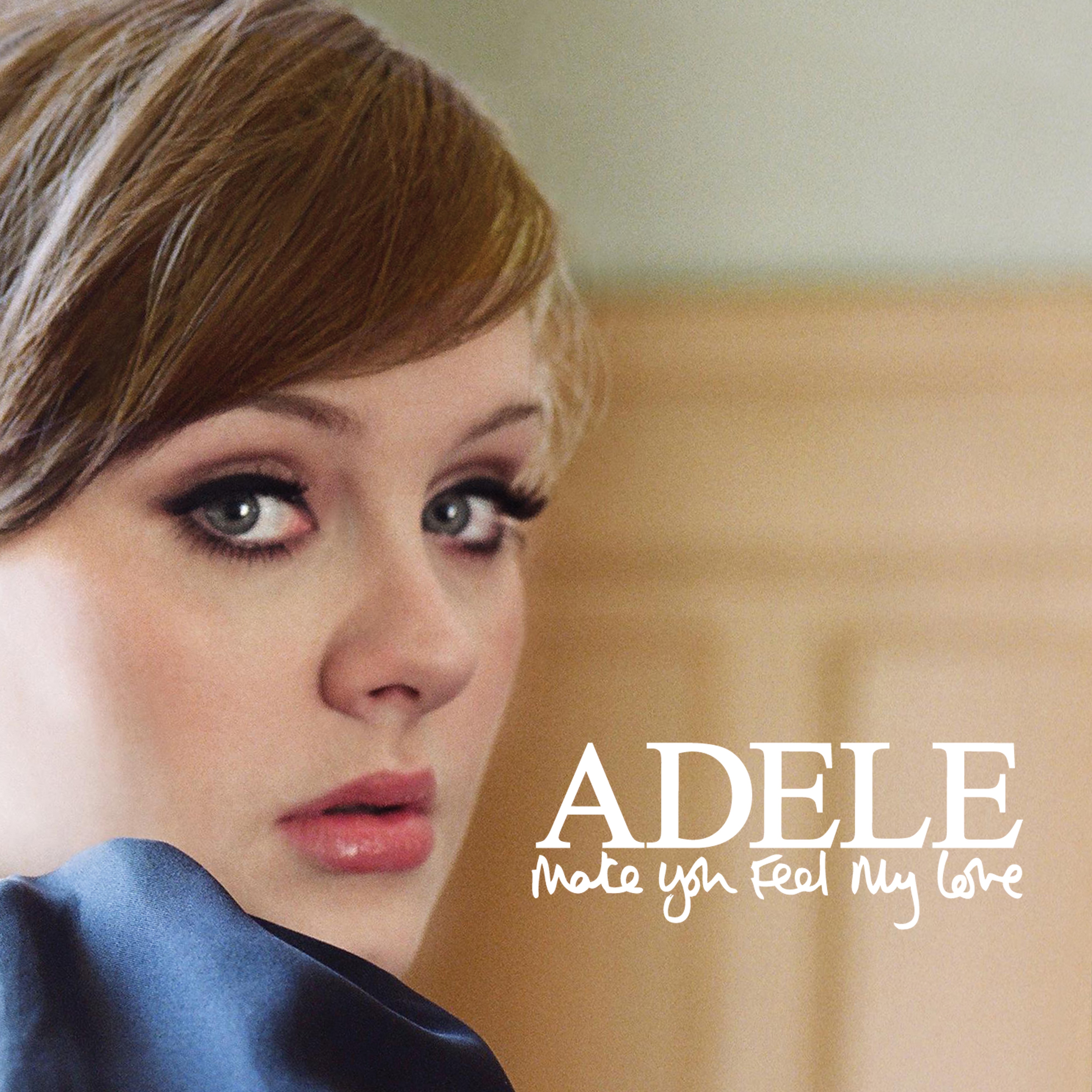 Image result for adele make you feel my love