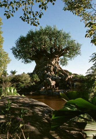 File:Tree-of-Life-1.jpg