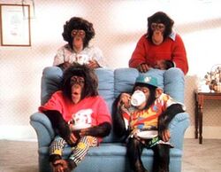 Imagepgtipschimps90s