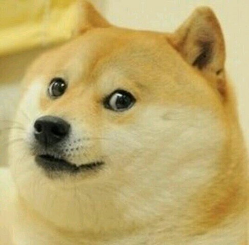 Файл:Doge.png