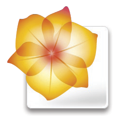 Adobe Illustrator Cs2 Adobe Wiki Fandom