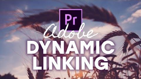 Adobe dynamic link manager download