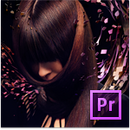 Adobe Premiere Pro CS6 totem