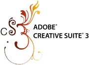 CS3