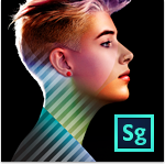 Adobe SpeedGrade CS6 totem
