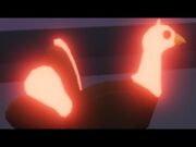 Turkey Neon