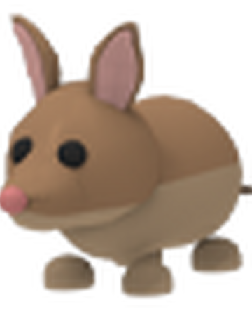 Roblox Adopt Me Common Pets List - pet guide wiki adopt me roblox