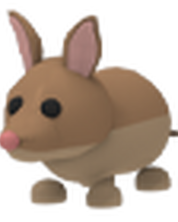 Bandicoot Adopt Me Wiki Fandom