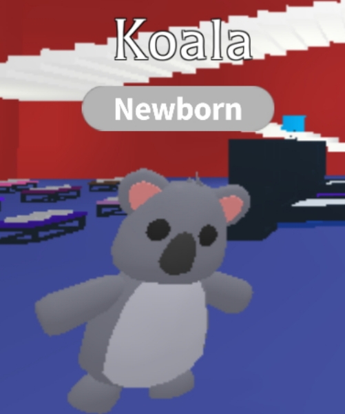 Koala Adopt Me Wiki Fandom - neon koala roblox adopt me