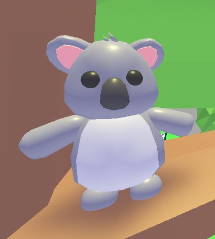 Koala Adopt Me Roblox Wiki Fandom - mascotas nuevas koala y canguro en adopt me en roblox youtube